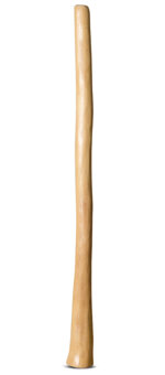 Medium Size Natural Finish Didgeridoo (TW1274)